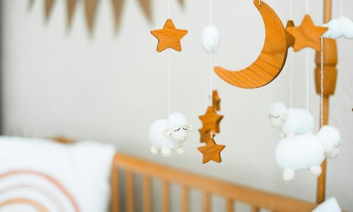 pexels-shvetsa-11369154